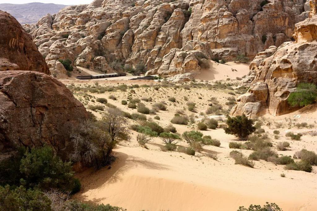 Ammarin Bedouin Camp Ξενοδοχείο Ουάντι Μούσα Εξωτερικό φωτογραφία