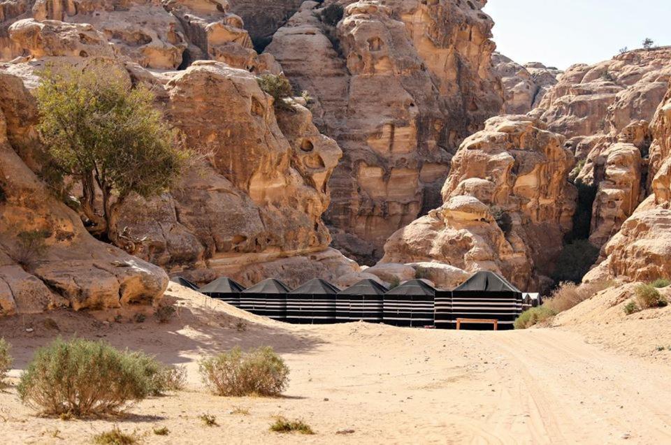 Ammarin Bedouin Camp Ξενοδοχείο Ουάντι Μούσα Εξωτερικό φωτογραφία
