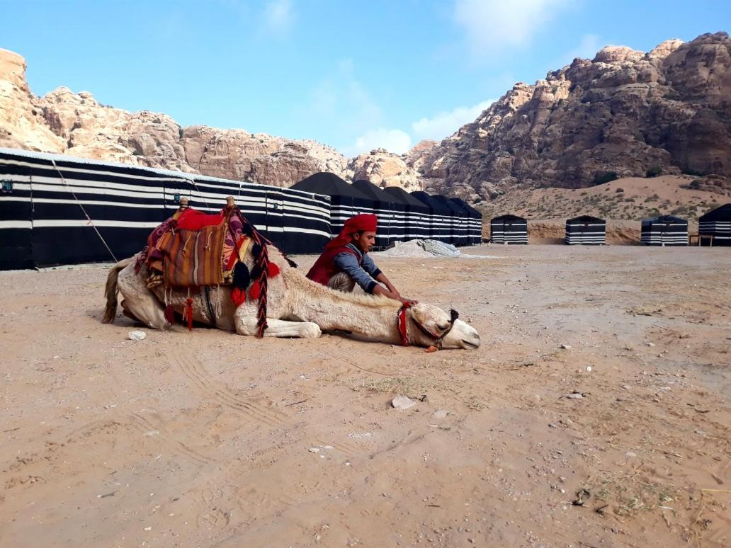 Ammarin Bedouin Camp Ξενοδοχείο Ουάντι Μούσα Εξωτερικό φωτογραφία