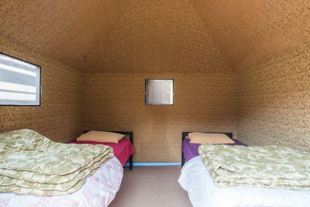 Ammarin Bedouin Camp Ξενοδοχείο Ουάντι Μούσα Εξωτερικό φωτογραφία